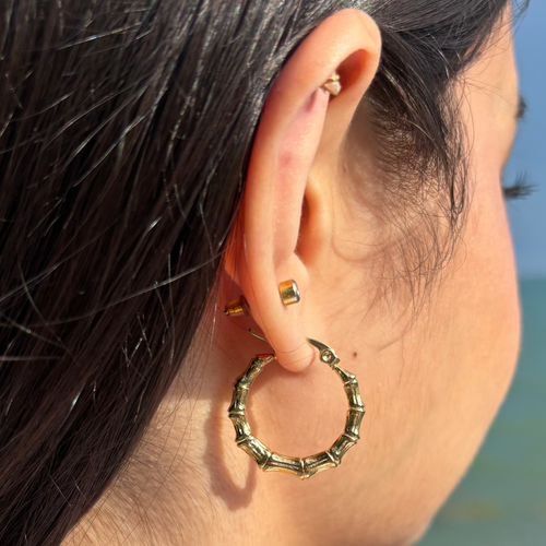 Bamboo hoops earrings